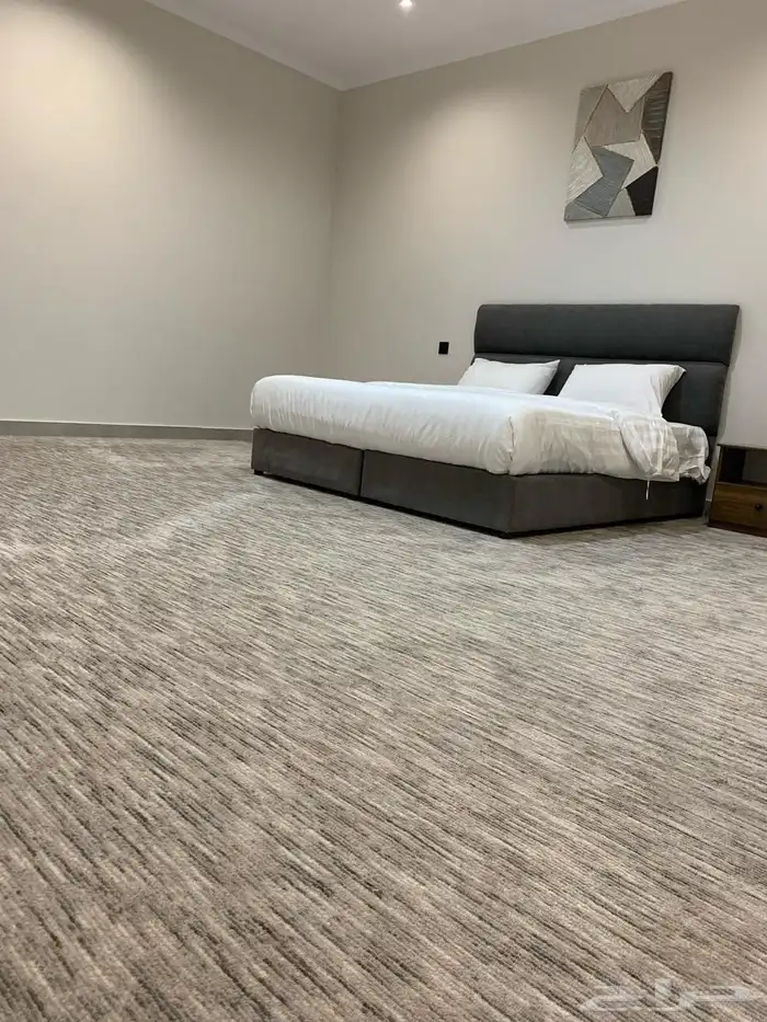 احتاج شقه صغيره للايجار 1