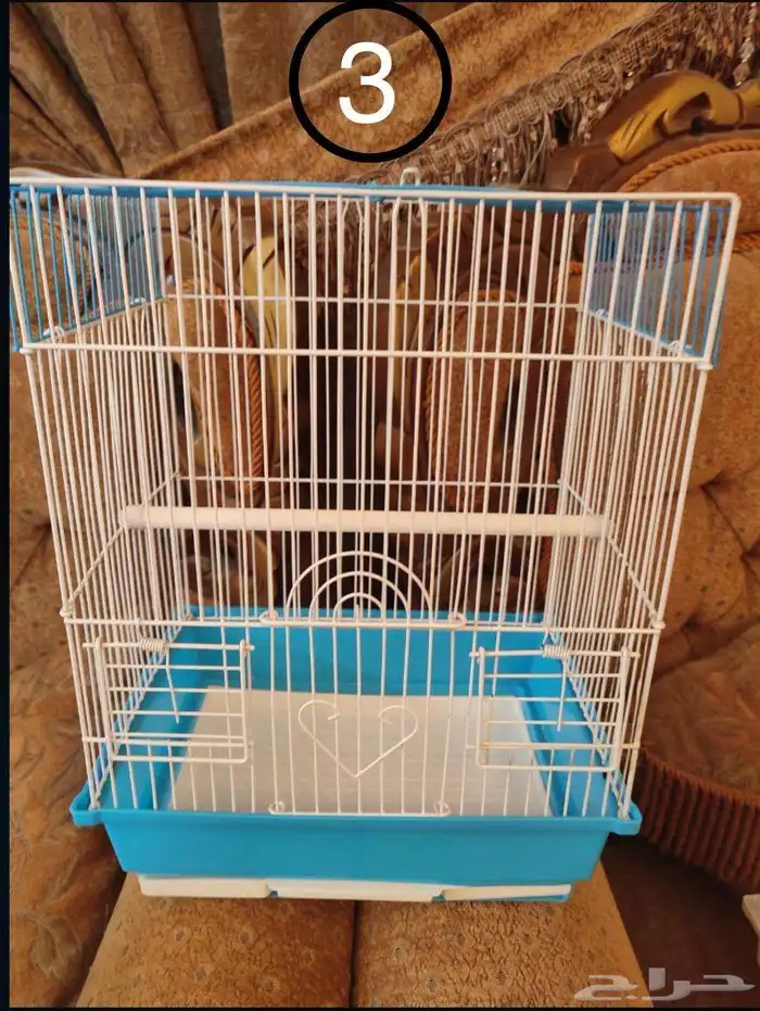 قفص - اقفاص - طيور زينة 2