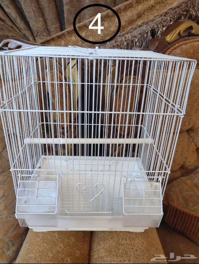 قفص - اقفاص - طيور زينة 3