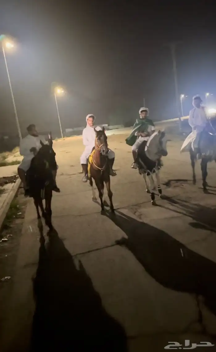 الطايف وادي ليه 3