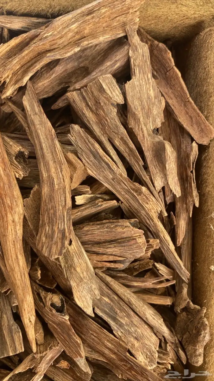 طيب عود ممتاز ثمن كيلو بي 450 فقط 0