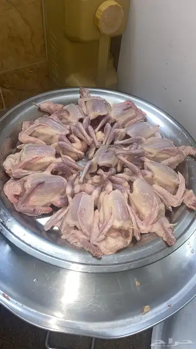 زغاليل حمام فرنسي index