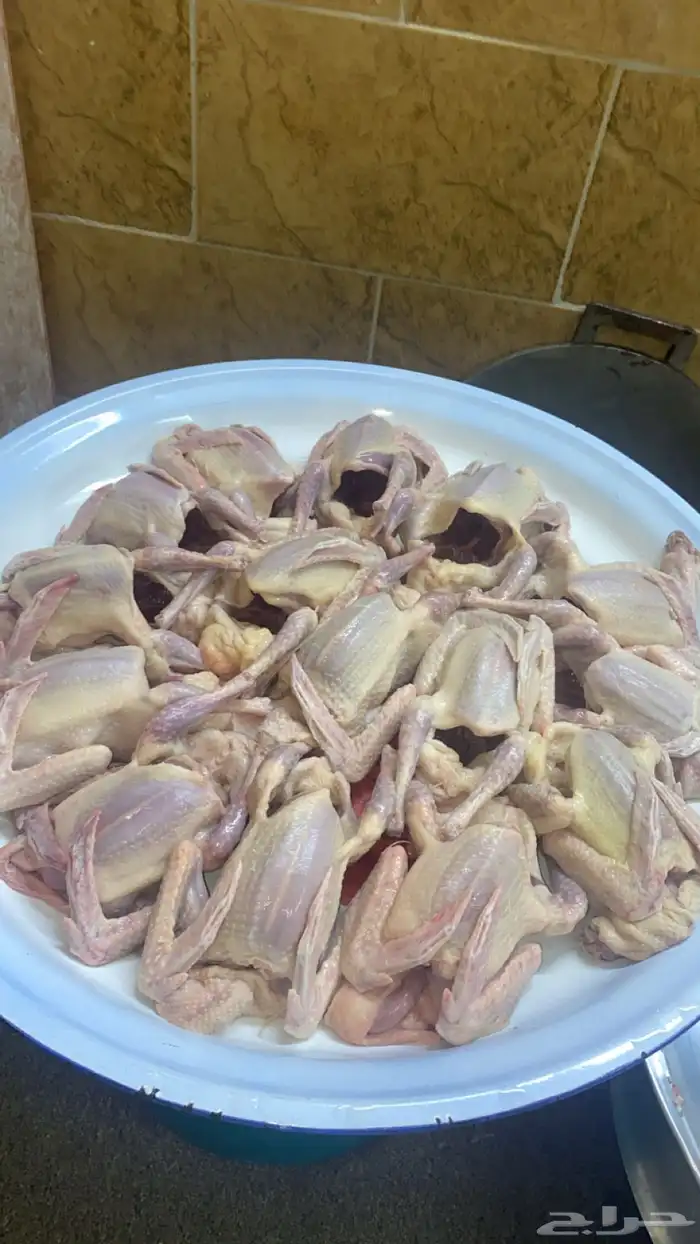 زغاليل حمام فرنسي 1