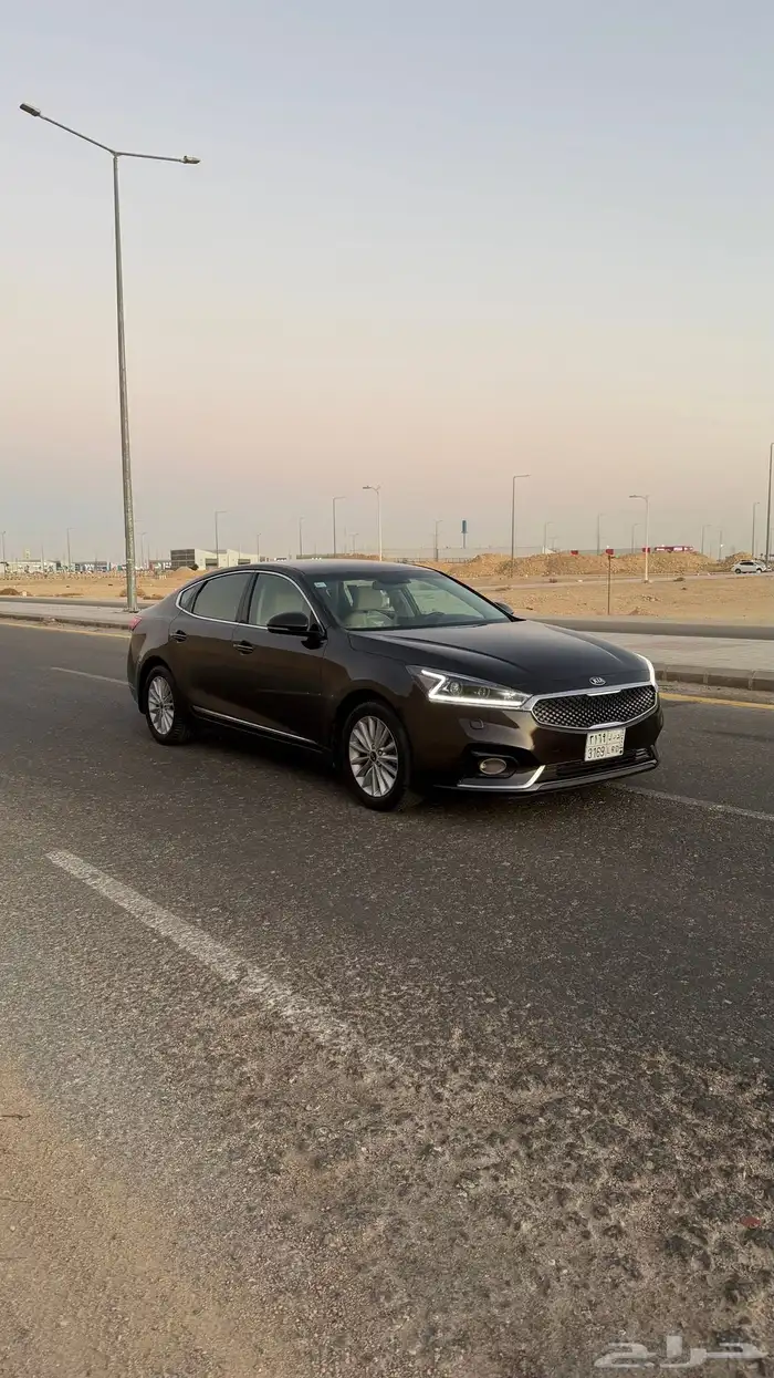 كادينزا 2018 4