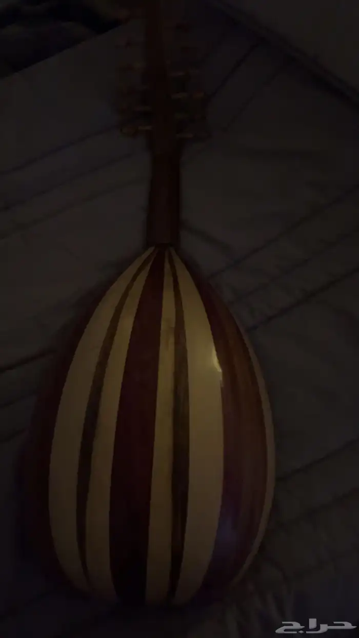 عود مصري متوسط 2