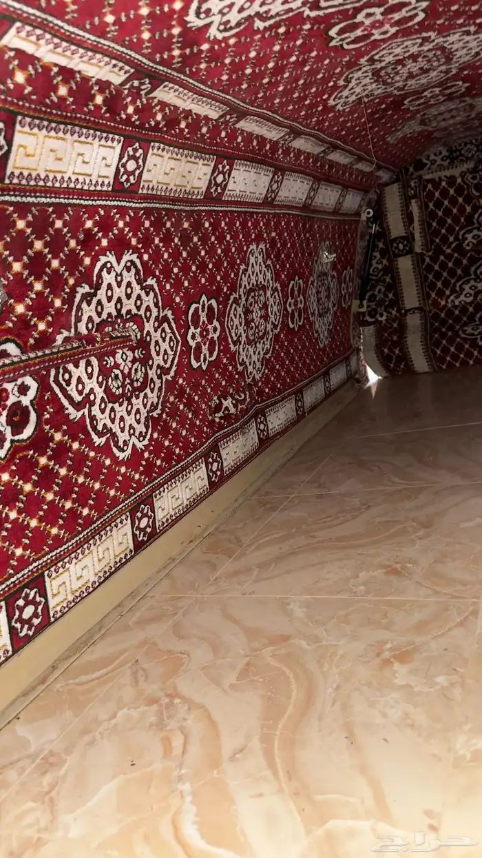 طربال الاختيار جديد 0