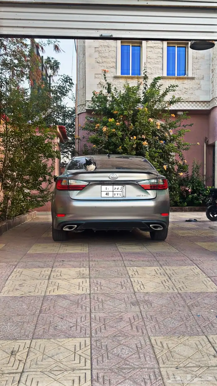 لكزز للبيع 1