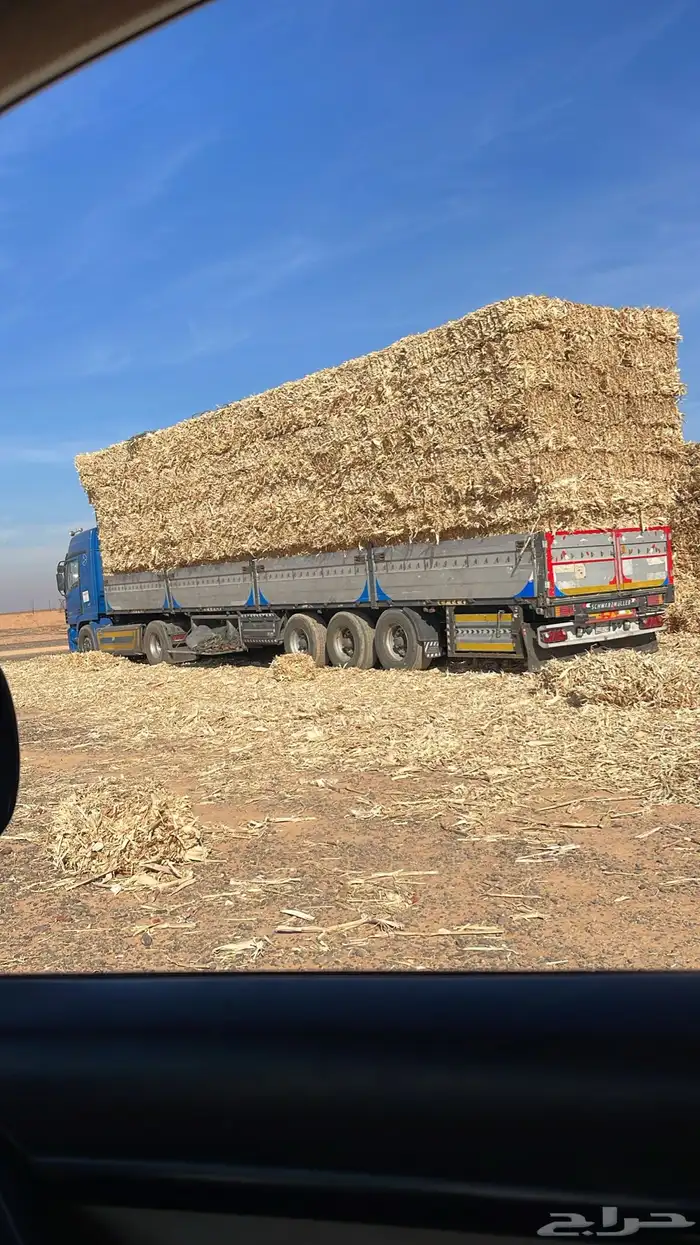 تبن قمح شد متر جندير 0