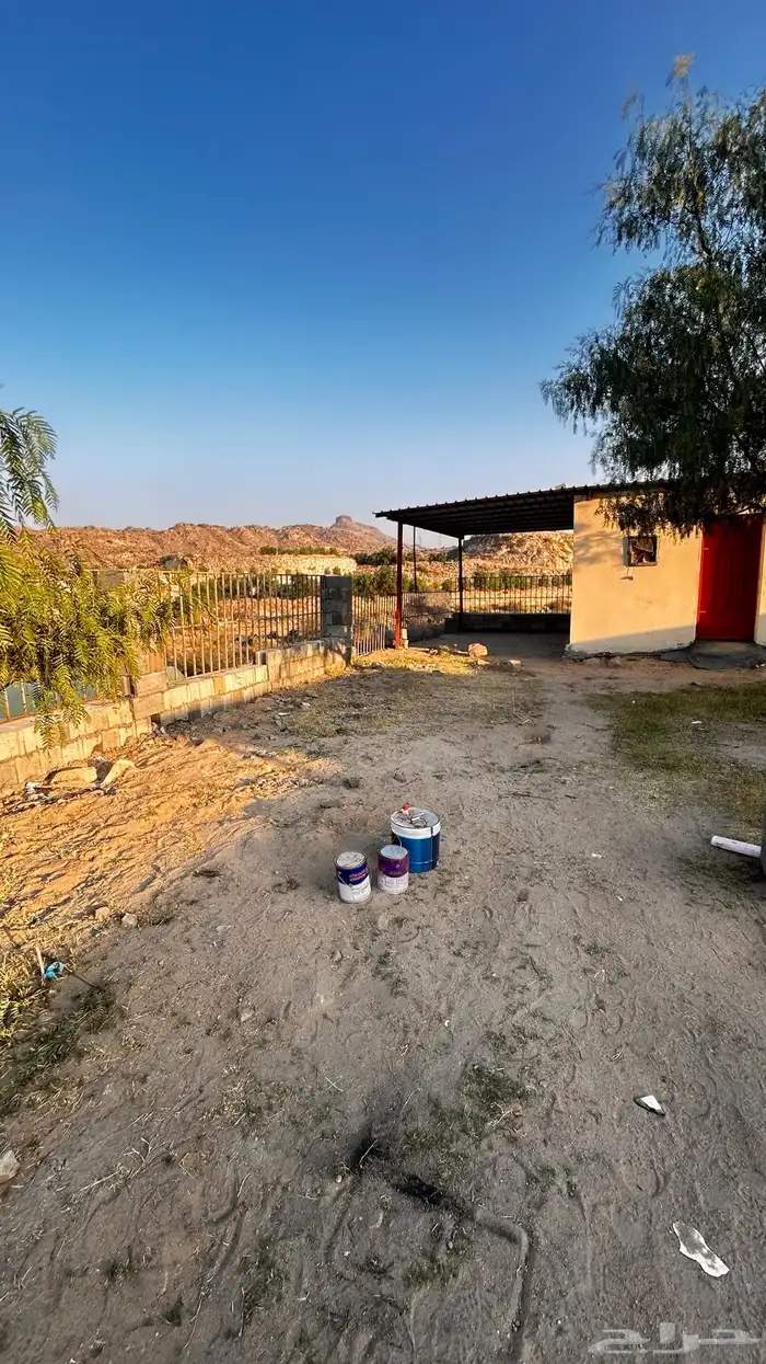 حوش غنم دواجن للاجار 0