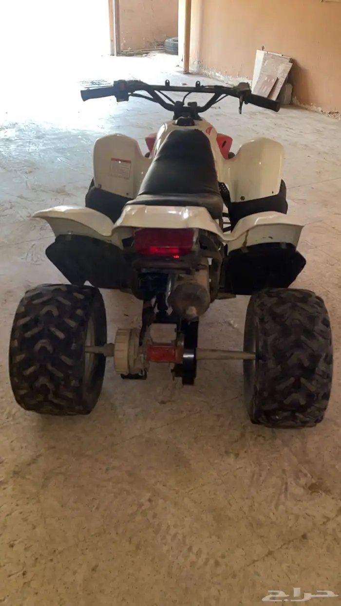 دباب حجم 100 للبيع 1