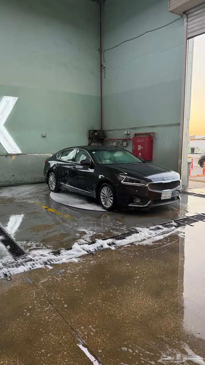 كادينزا 2018 8