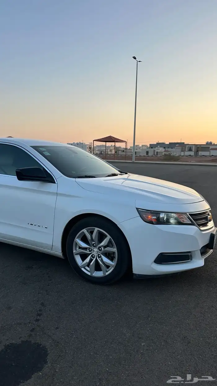 للبيع نبالا 2018 3