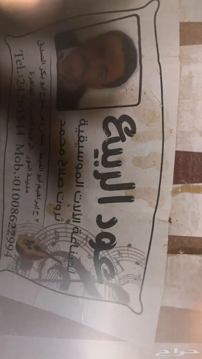 عود مصري متوسط 3