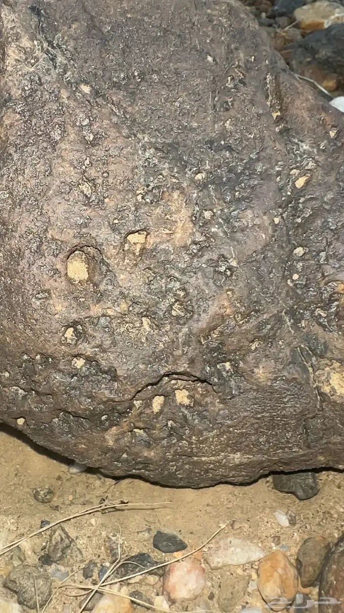 خبراء النيازك.. أفيدونا 4