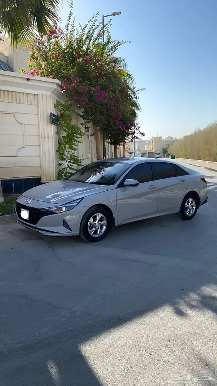 النترا 2022 بدي وكاله 1