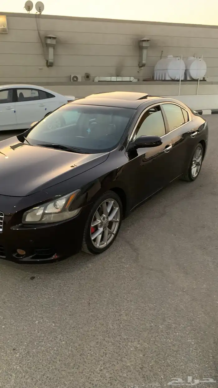 نيسان مكسيما 2011 منوة المستخدم جديدة 17