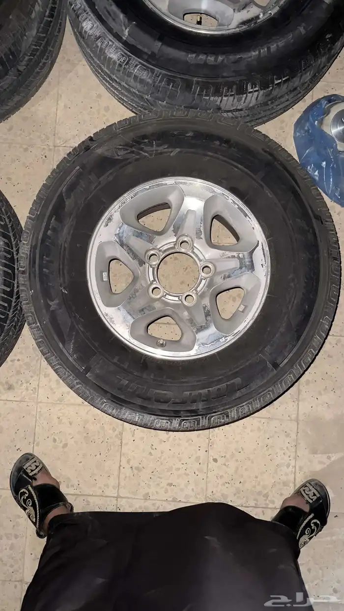 جنوط ربع رفرف 7