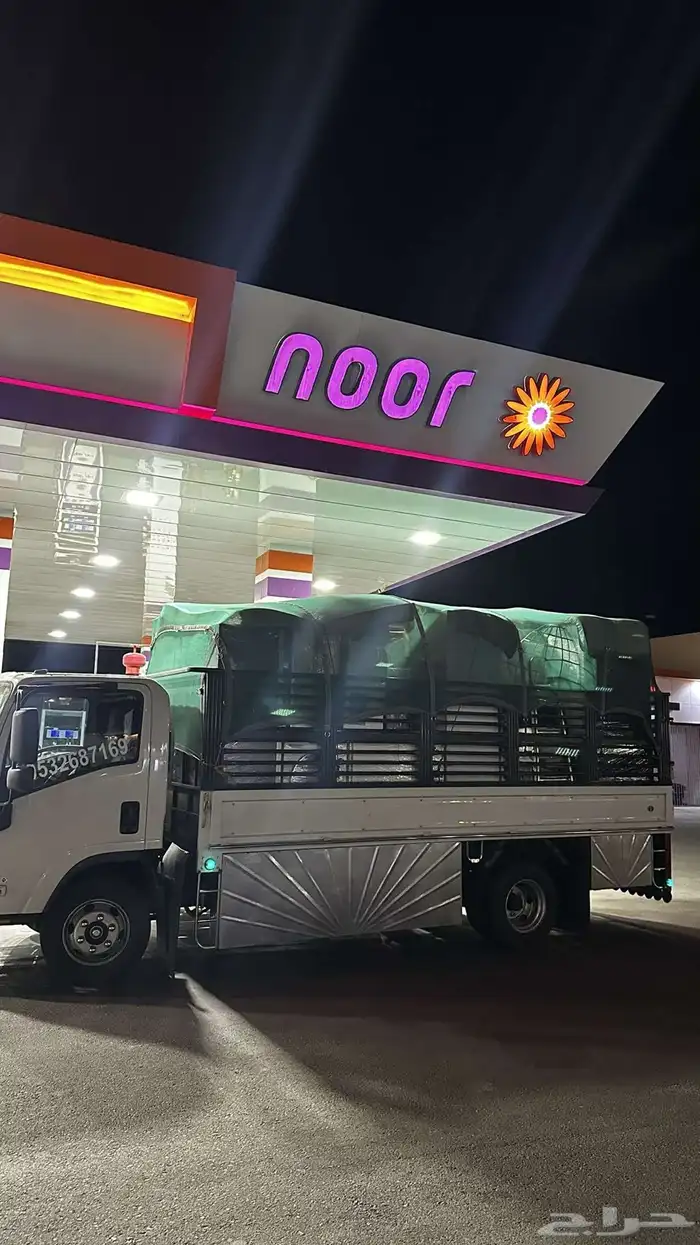 دينه دينا متجه للجنوب 1