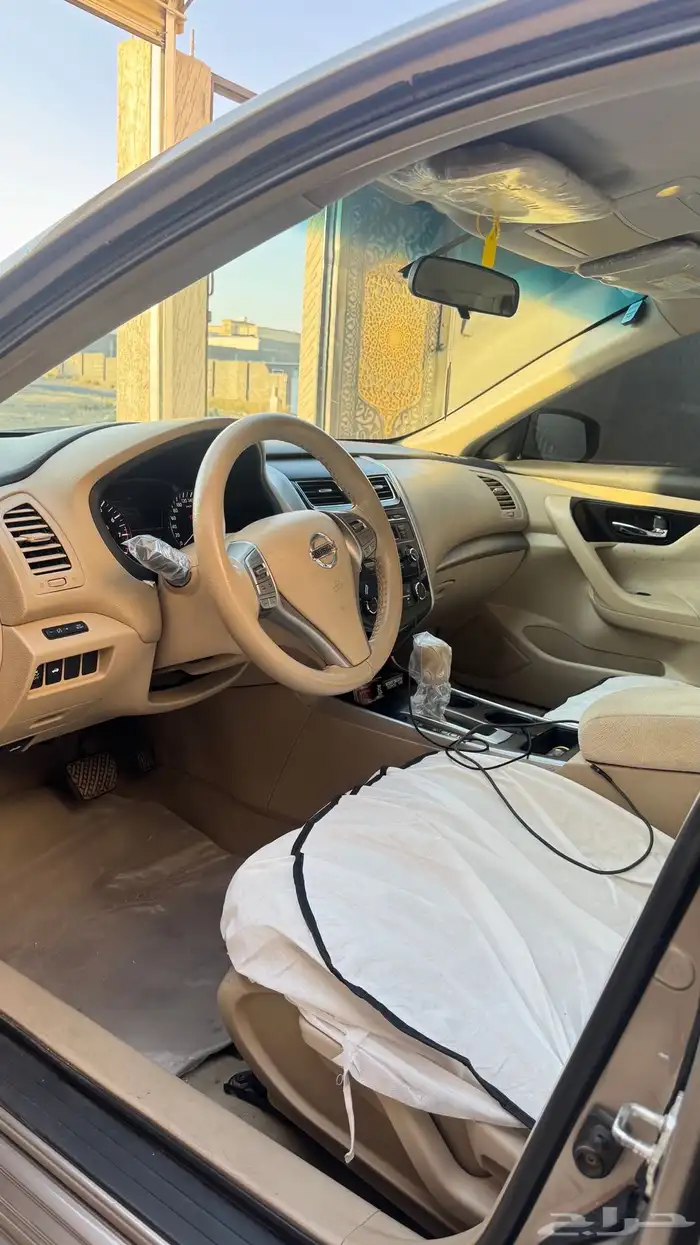 التيماء 2013 10