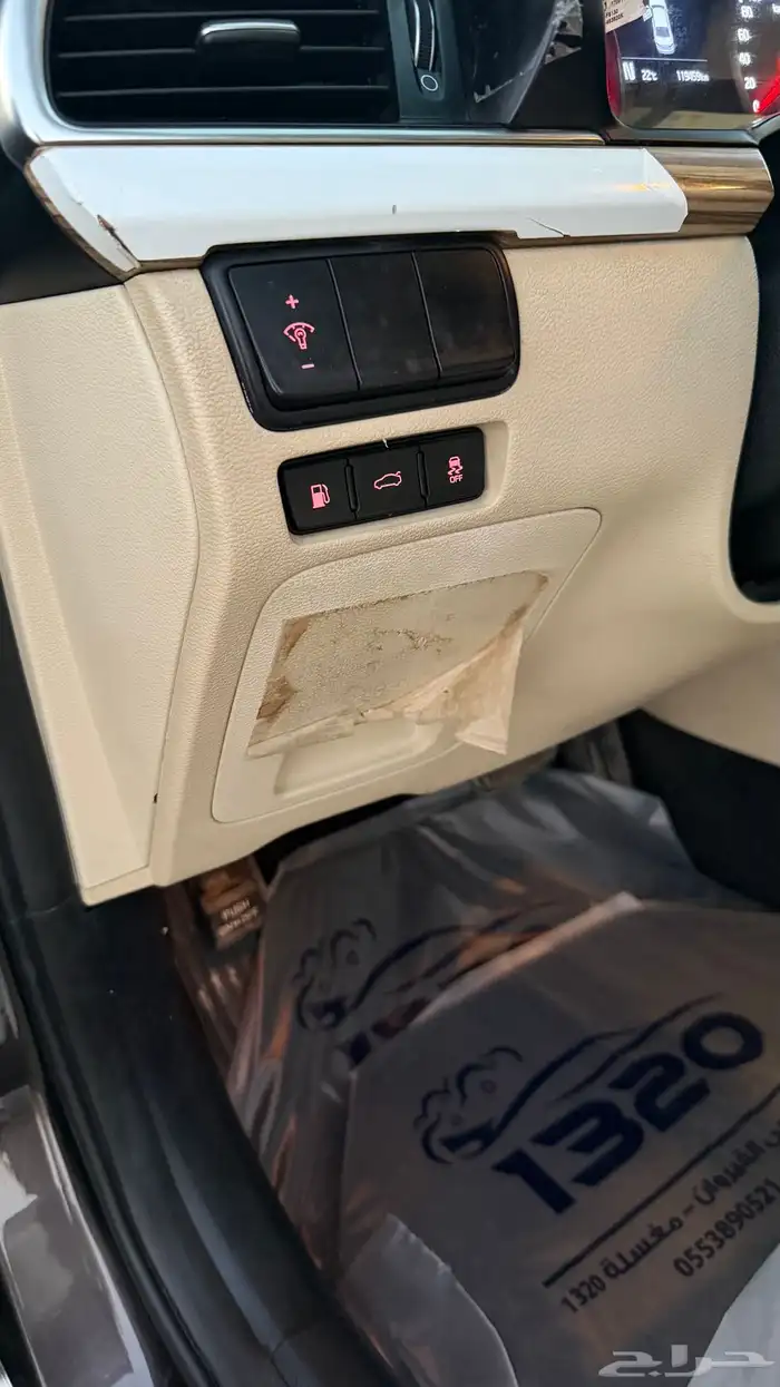 كادينزا 2018 12