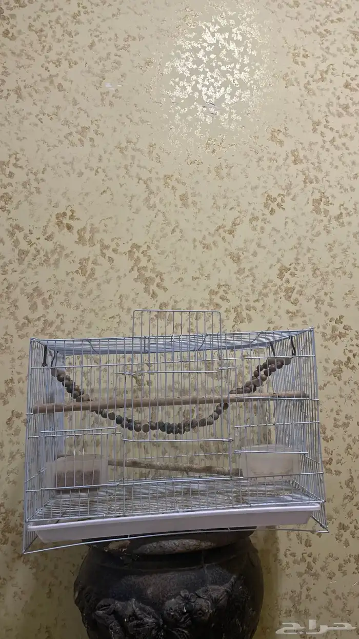 للبيع شبك طيور 0