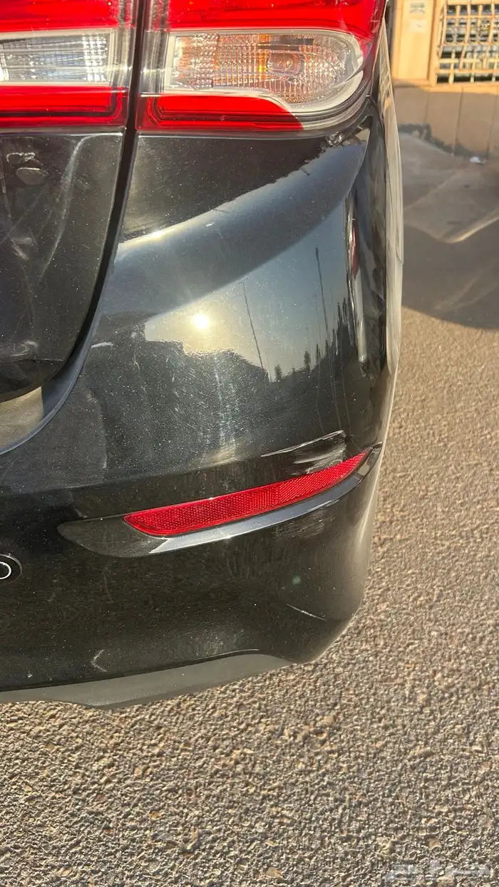 شانجان السفن 2024 10