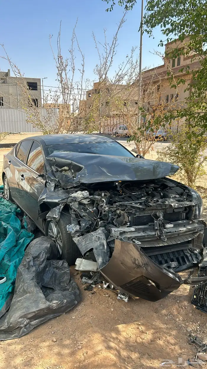 التيما 2023 استاندر 1