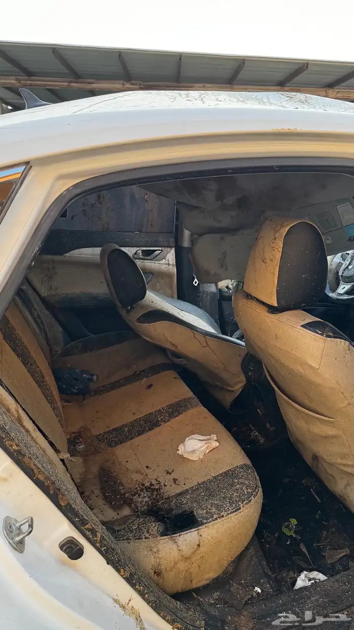 شنجان ايدو مصدوم 2