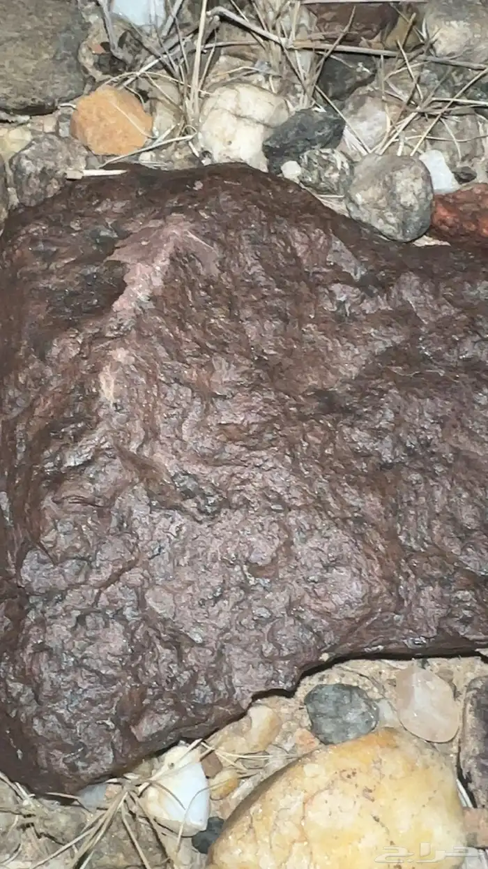 خبراء النيازك.. أفيدونا 2