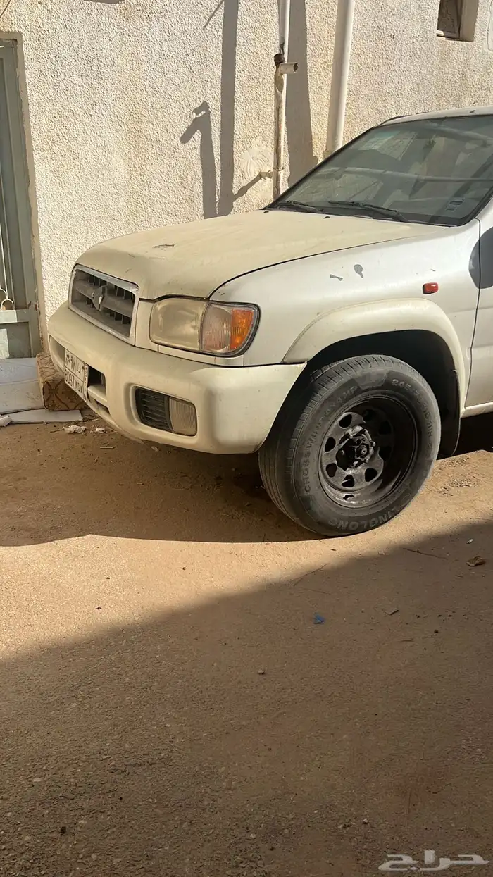 باثفندر اللبيع 2002 12