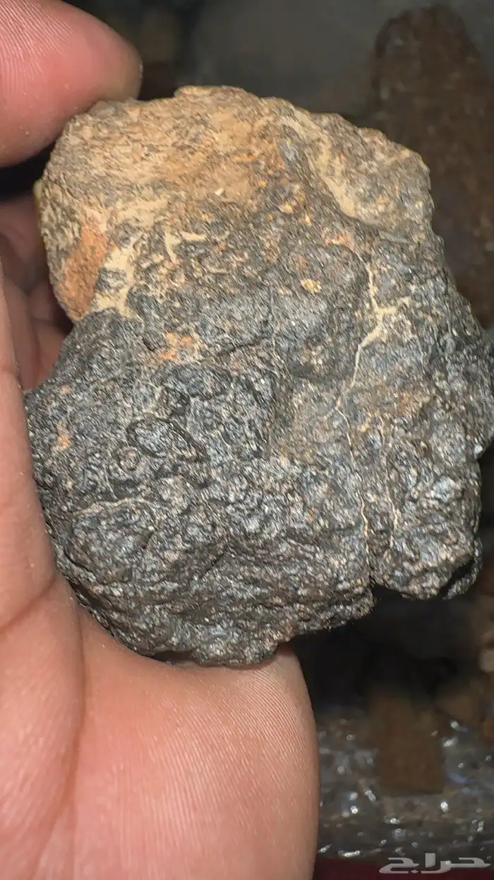 خبراء النيازك.. أفيدونا 10