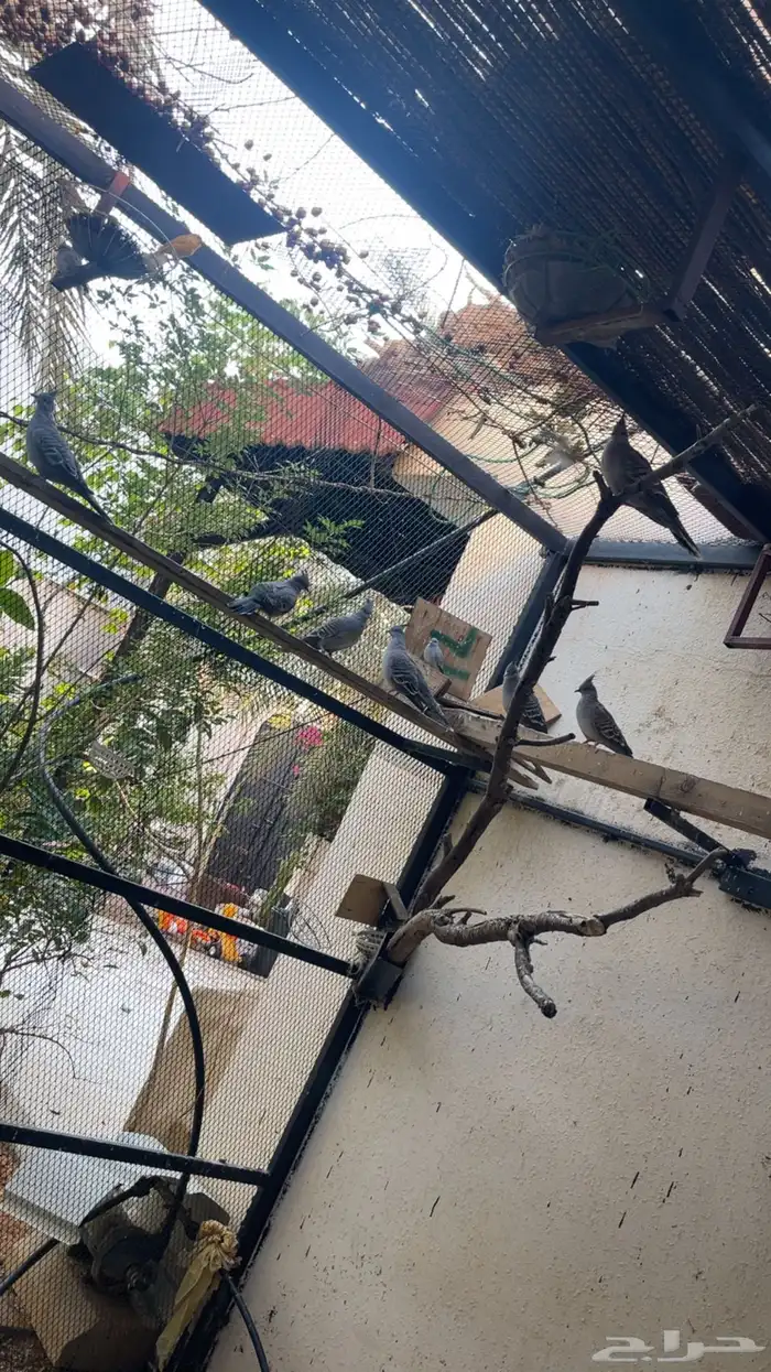 حمام خليخلت 0