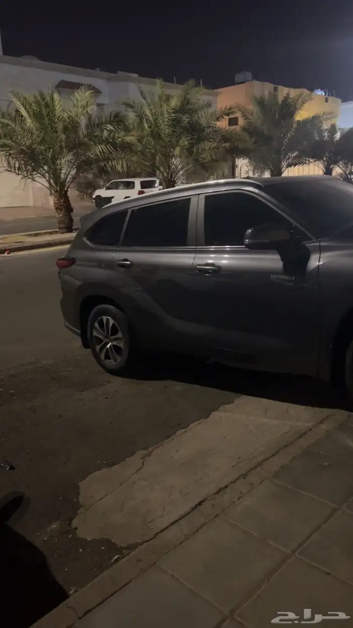 المدينة المنورة 0