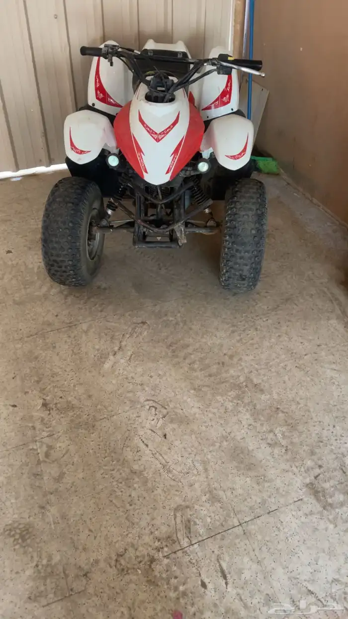 دباب حجم 100 للبيع 3