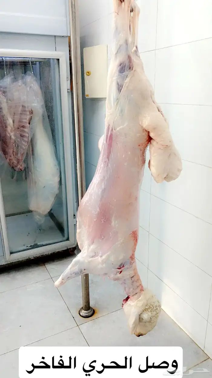 ملحمه حاشي السويرقيه جده حي الفروسيه 0