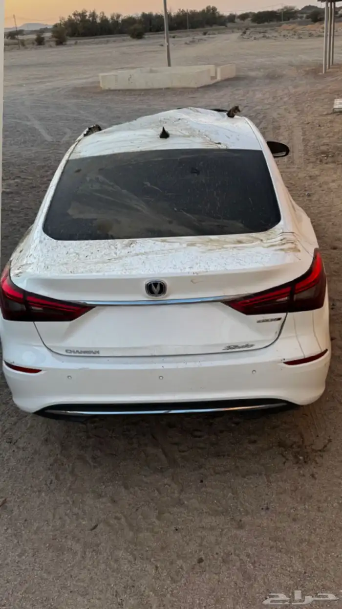 شنجان ايدو مصدوم 8