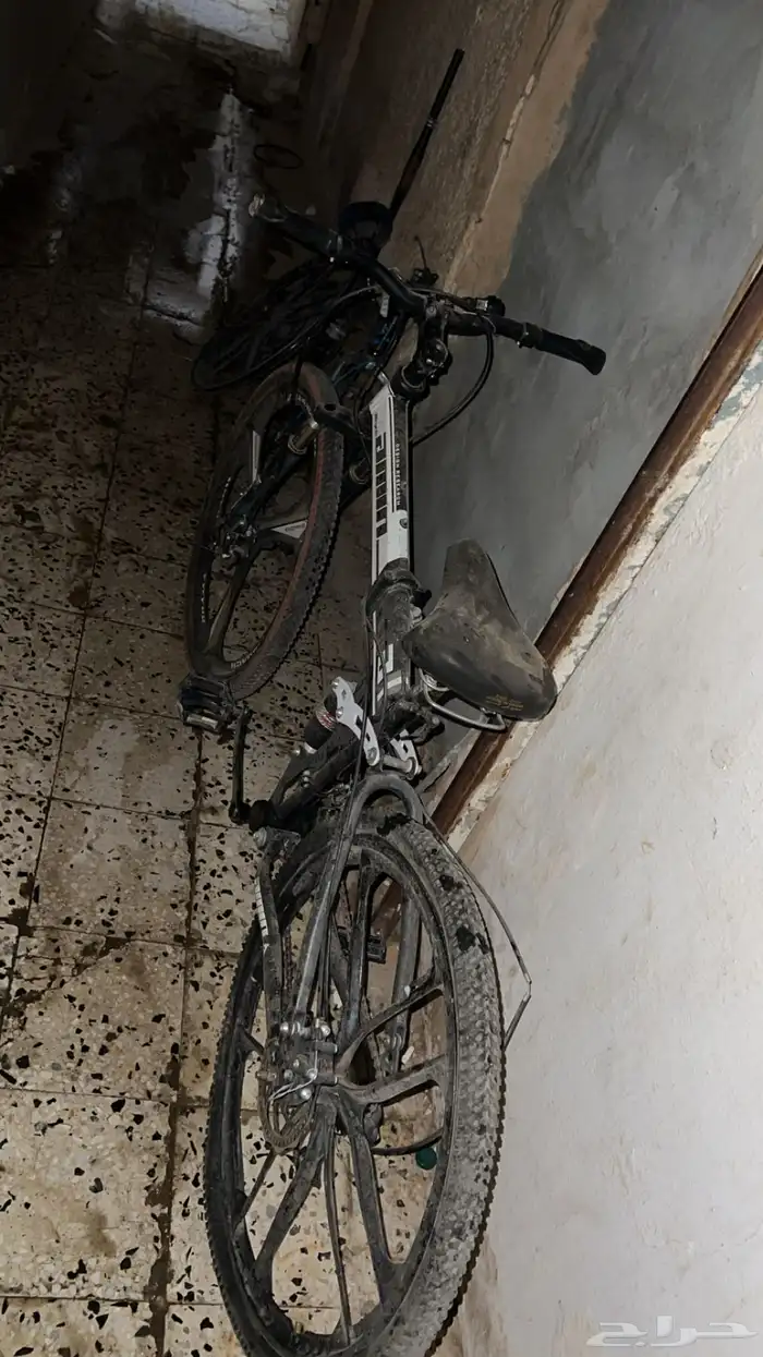 سيكل رياضي (صفط) 2