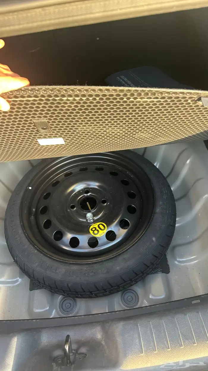 شانجان السفن 2024 7