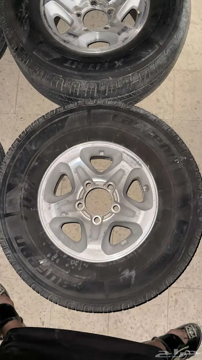 جنوط ربع رفرف 6