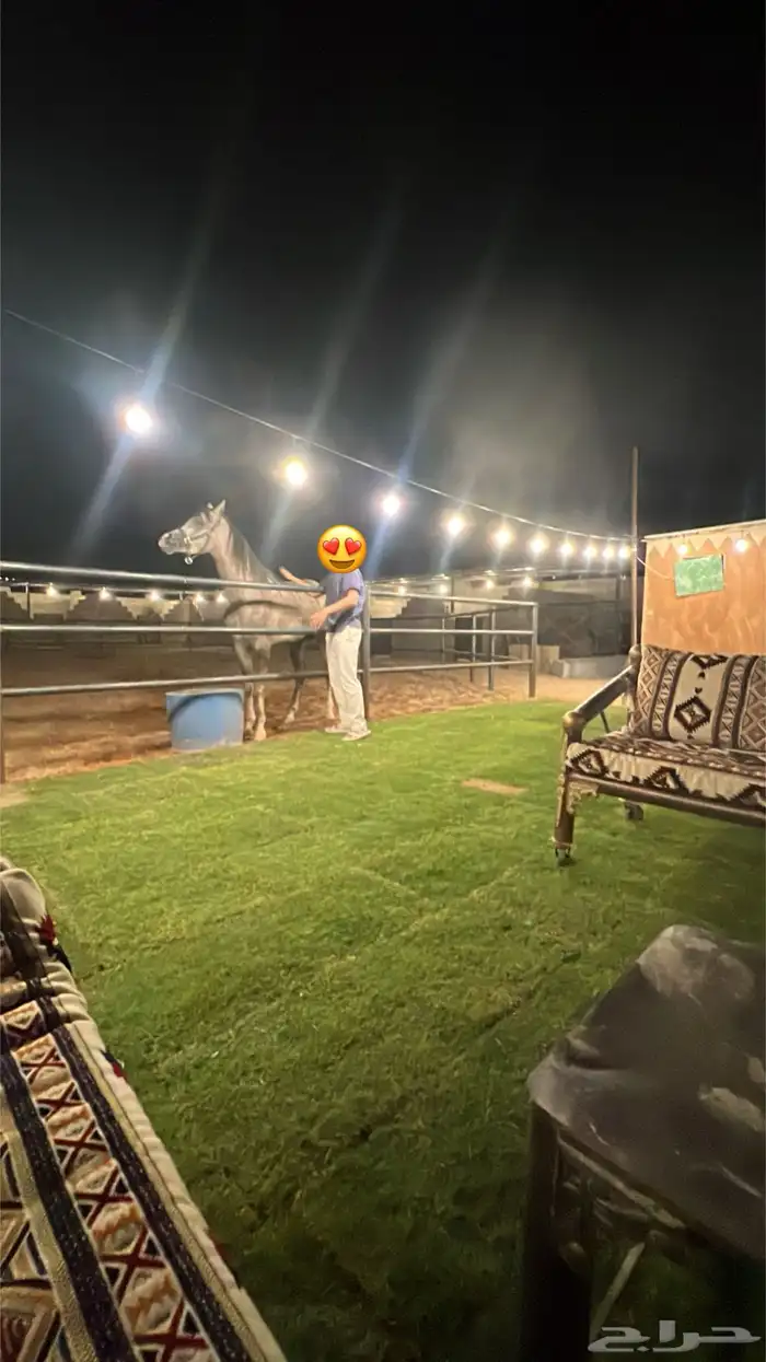 شاليه واسطبل للايجار اليومي 0