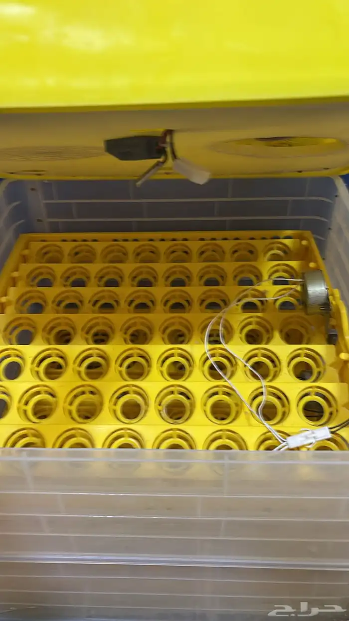 فقاسه توماتيك ممتازه 0