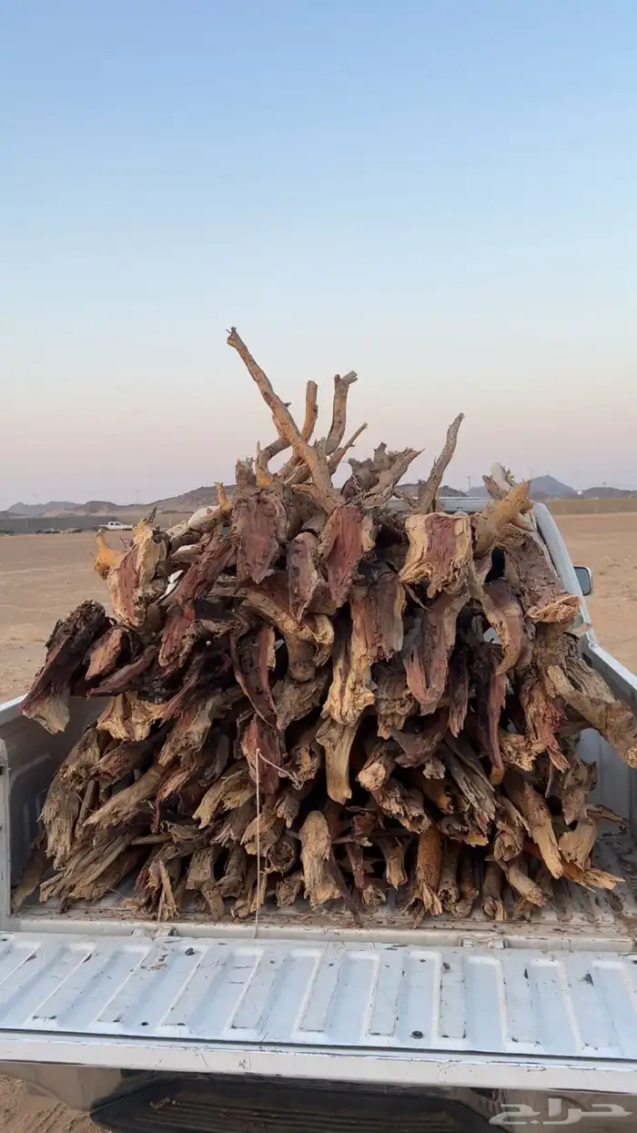 ددسن للبيع 1