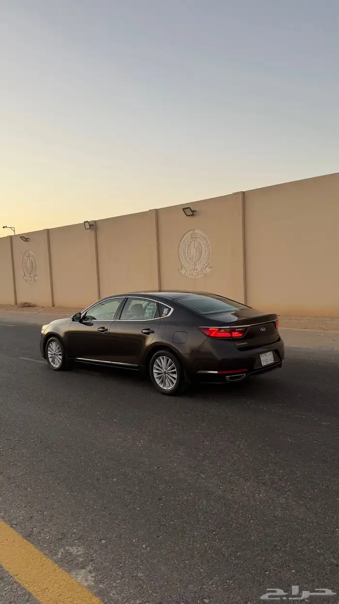 كادينزا 2018 5