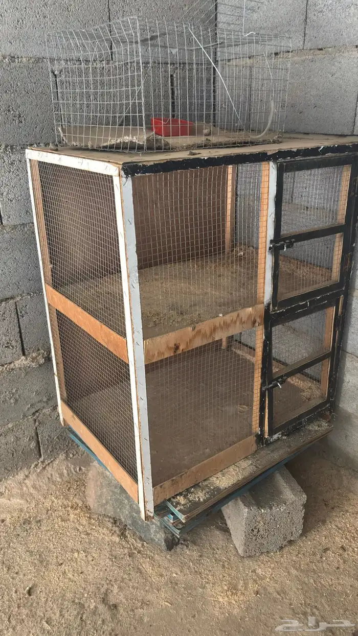 محكر للدواجن شرط 0