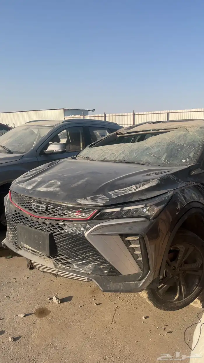 جيلي كولراي 2024 قطع غيار 2