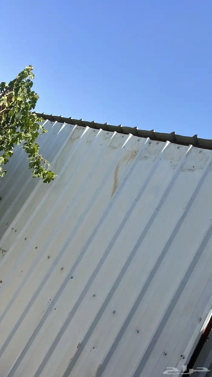 غرفه هنقر و3 لفات شبوك 0