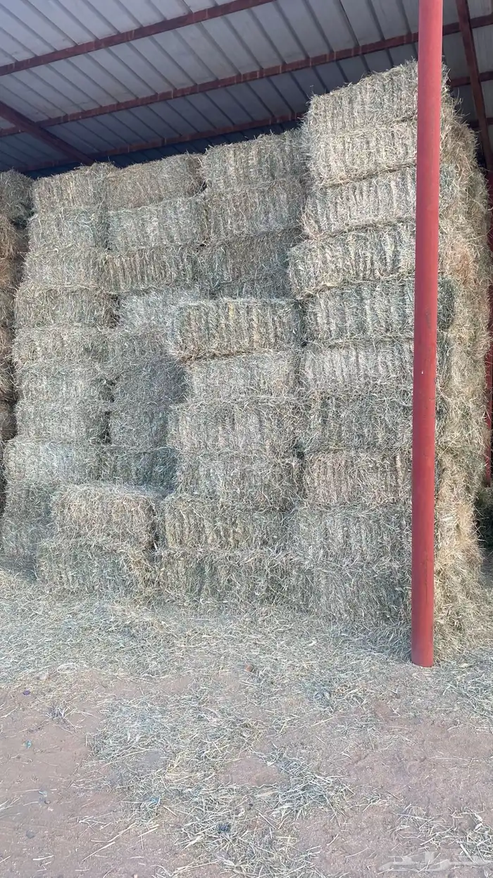 رودس مخلوط 1