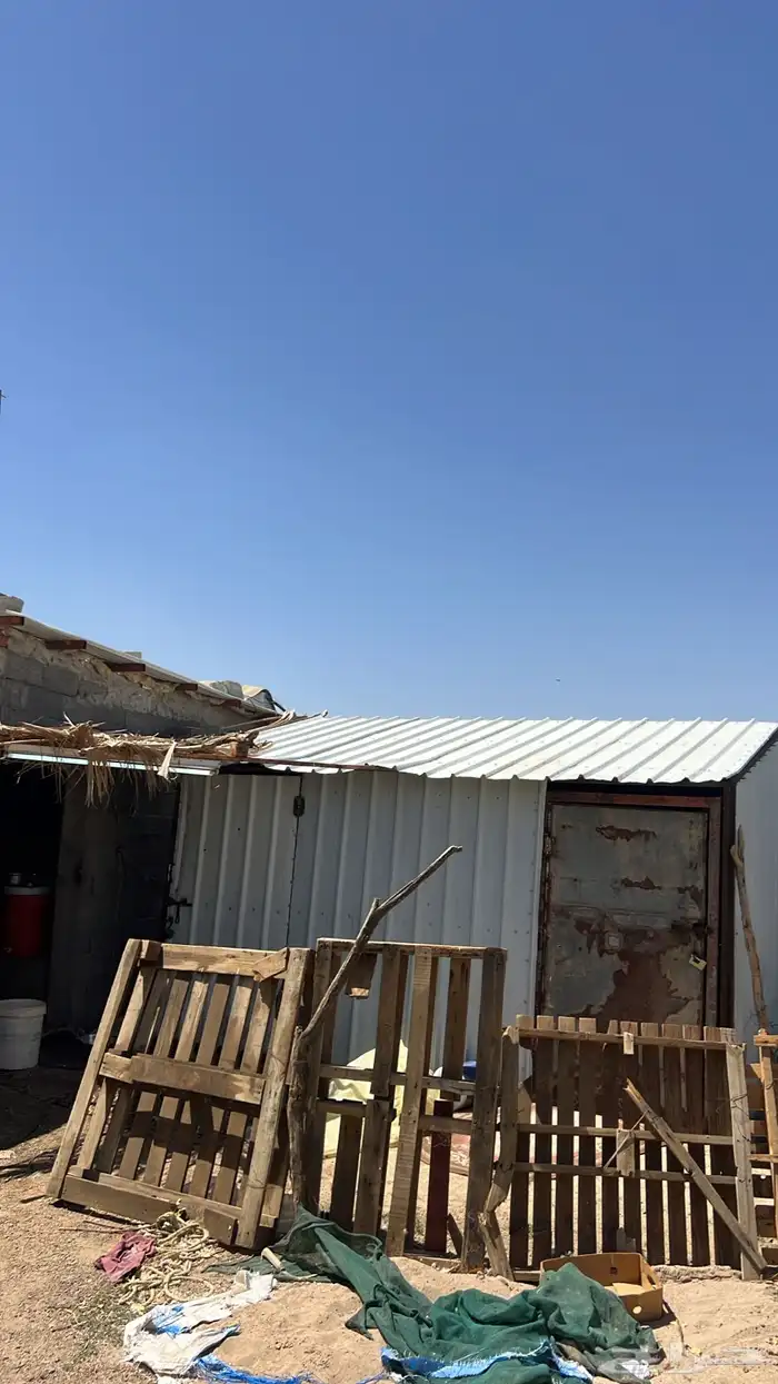 غرفه هنقر و3 لفات شبوك 3