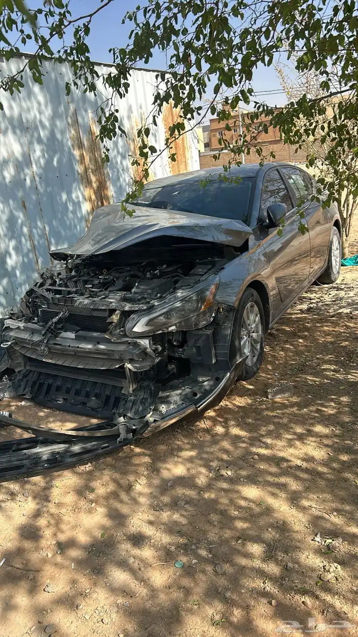 التيما 2023 استاندر 0