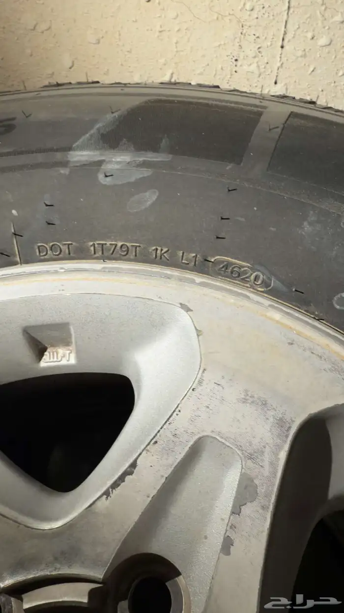 جنوط ربع رفرف 3